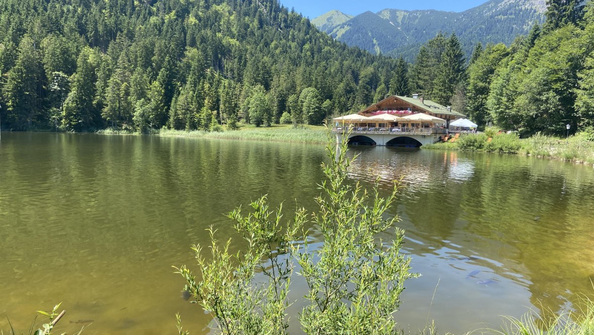 Pflegersee Sommer