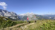 Wandern Hochalpin in Grainau, © Zugspitzregion - Foto Ehn