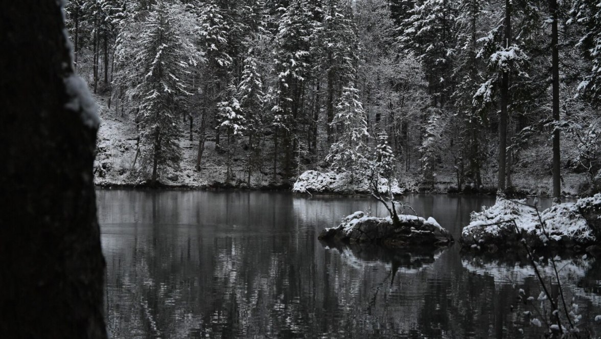 Badersee im Winter©M. Apel.jpg