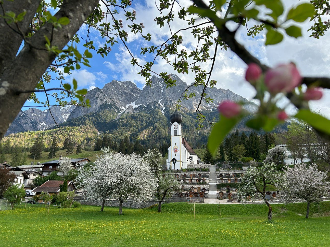 Kirche mit Apfelblüte, © Zugspitzdorf Grainau -TI