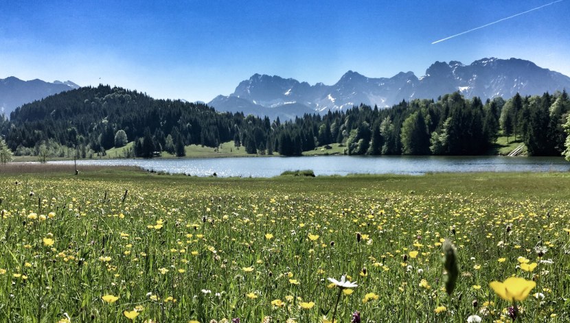 geroldsee-bei-kruen mit Frühjahrs Bergwiese