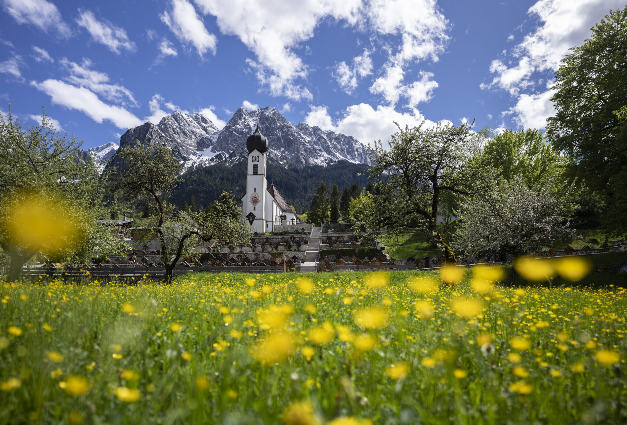 Frühjahrswiese mit Kirche und Berge