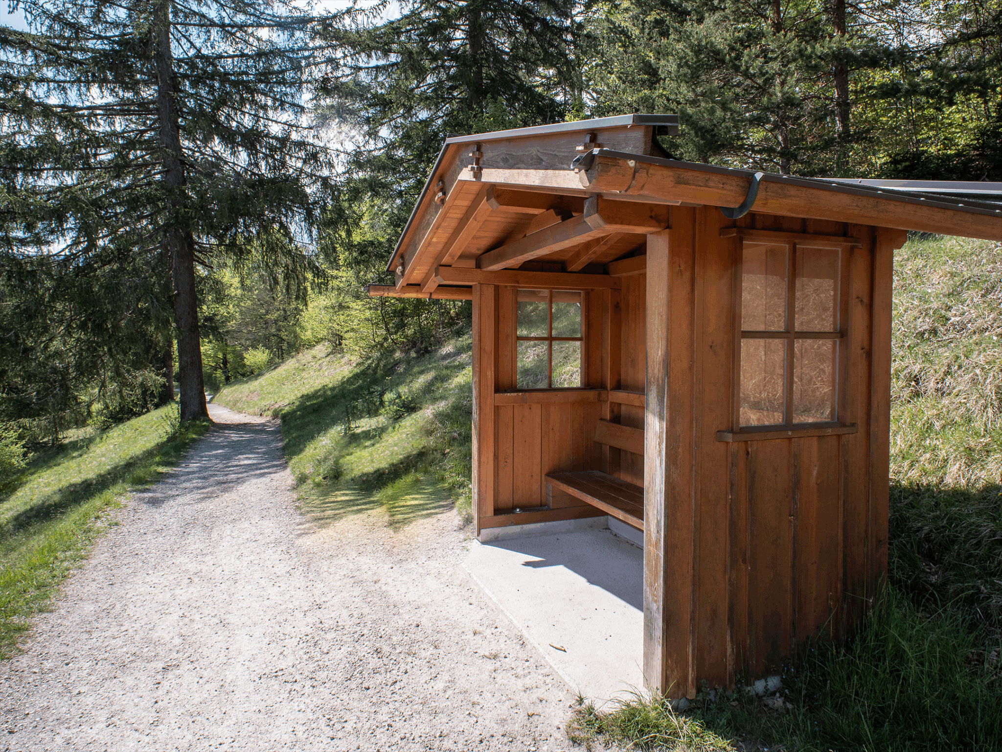Wilderbankerl 2 am Höhenrain