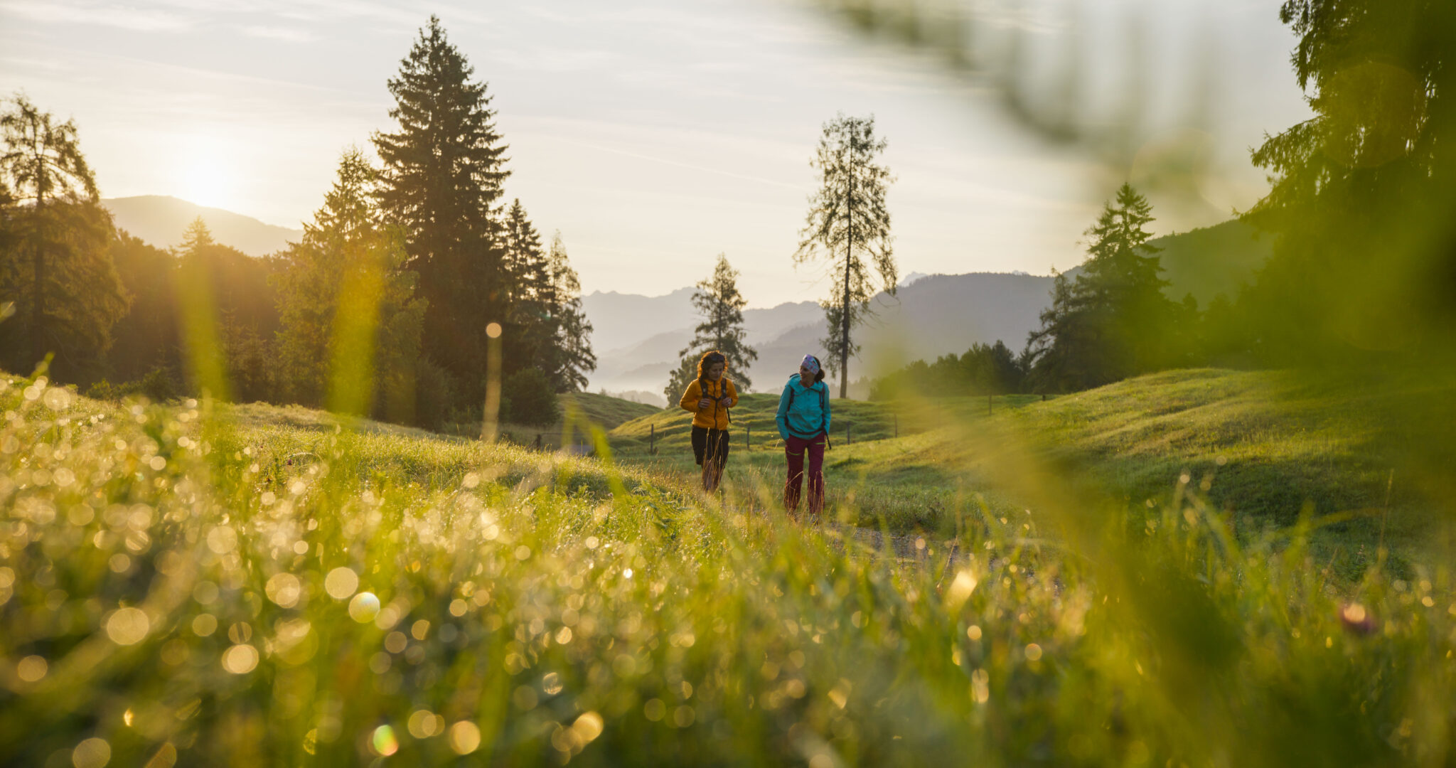 Wanderer in Wiesenlandschaft