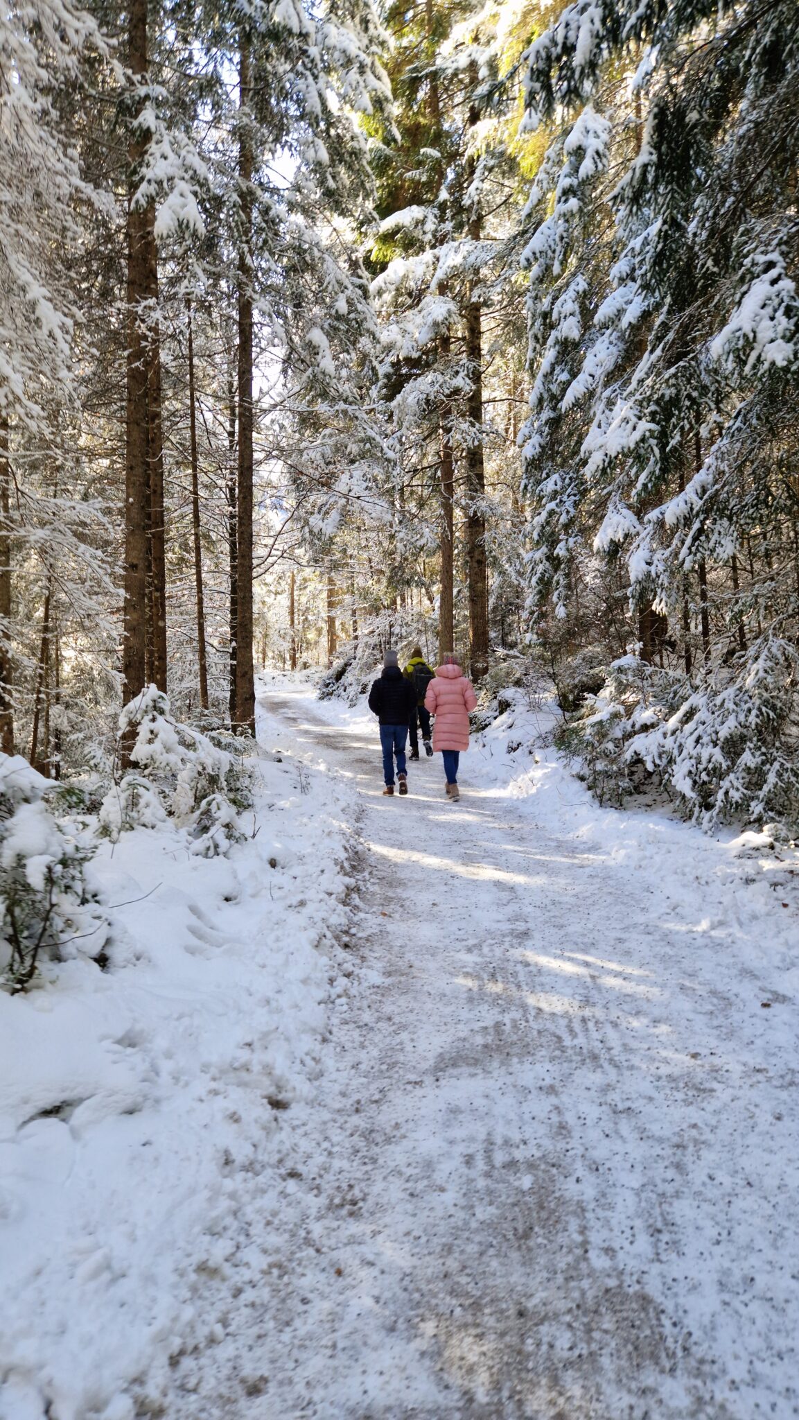 Eibsee, Eislauf, Schneeschuh, Schlitten ©Zugspitzdorf Grainau H (44)