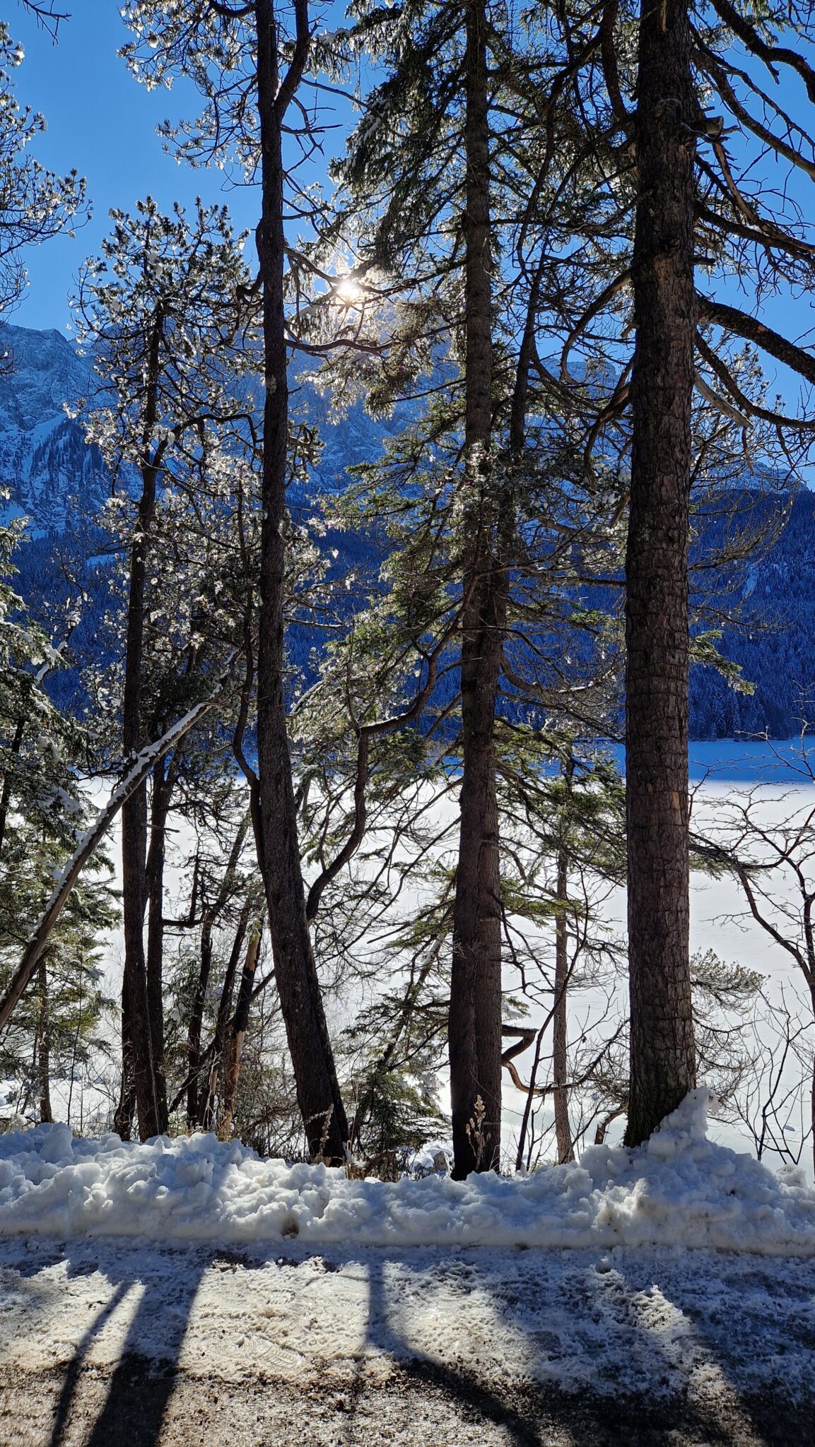 Eibsee, Eislauf, Schneeschuh, Schlitten ©Zugspitzdorf Grainau H (47)